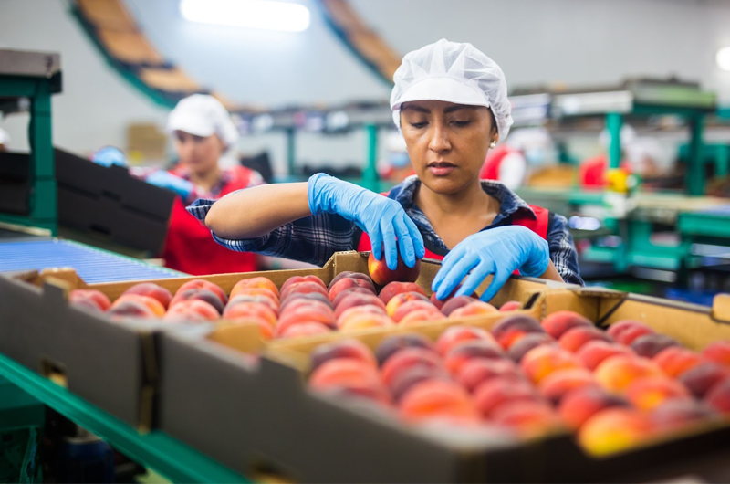 Food and Beverage Equipment Food and Beverage Equipment